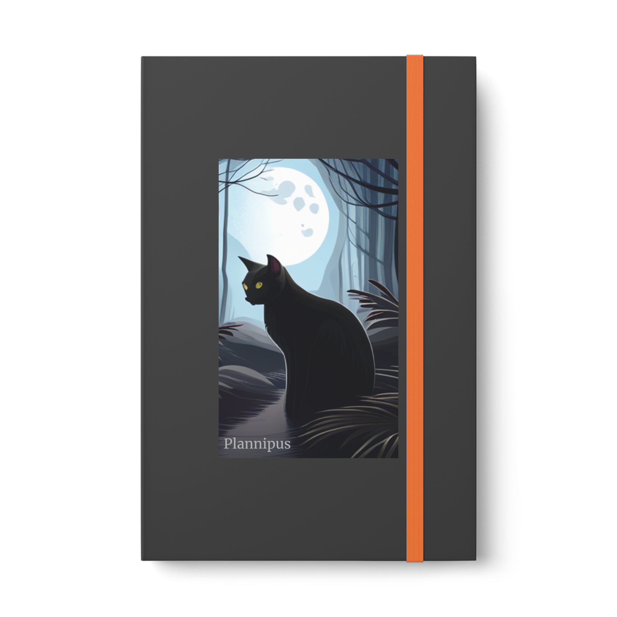 Black Cat Color Contrast Notebook - Ruled