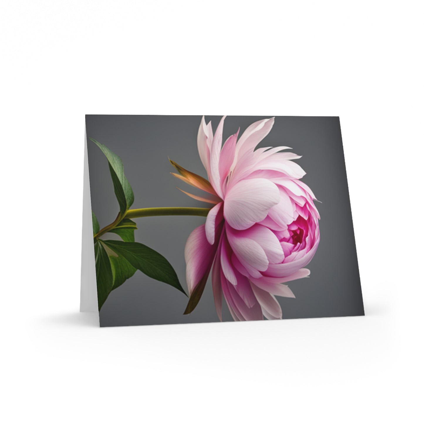 Pink Peony Greeting cards