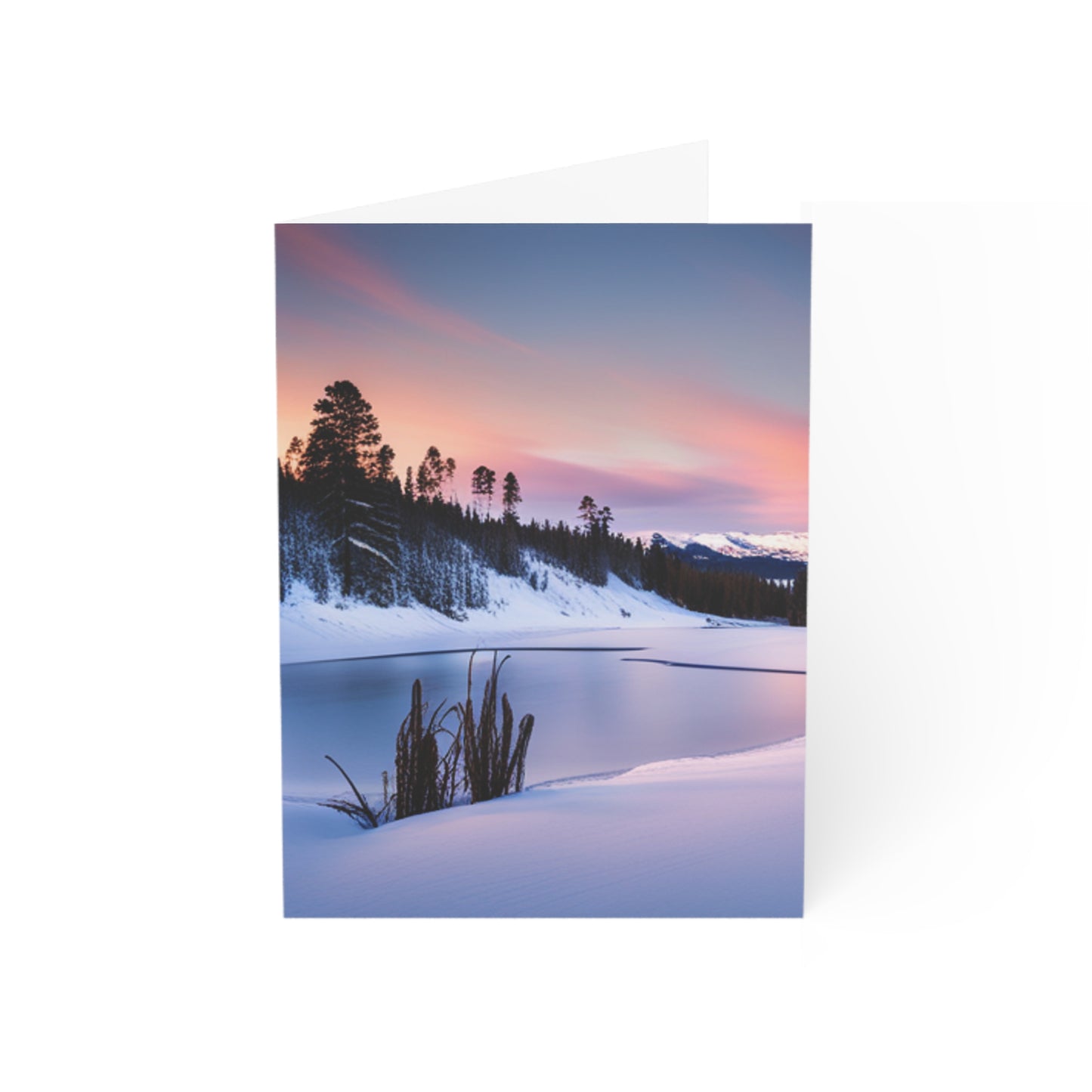 Winter Scene Greeting Cards