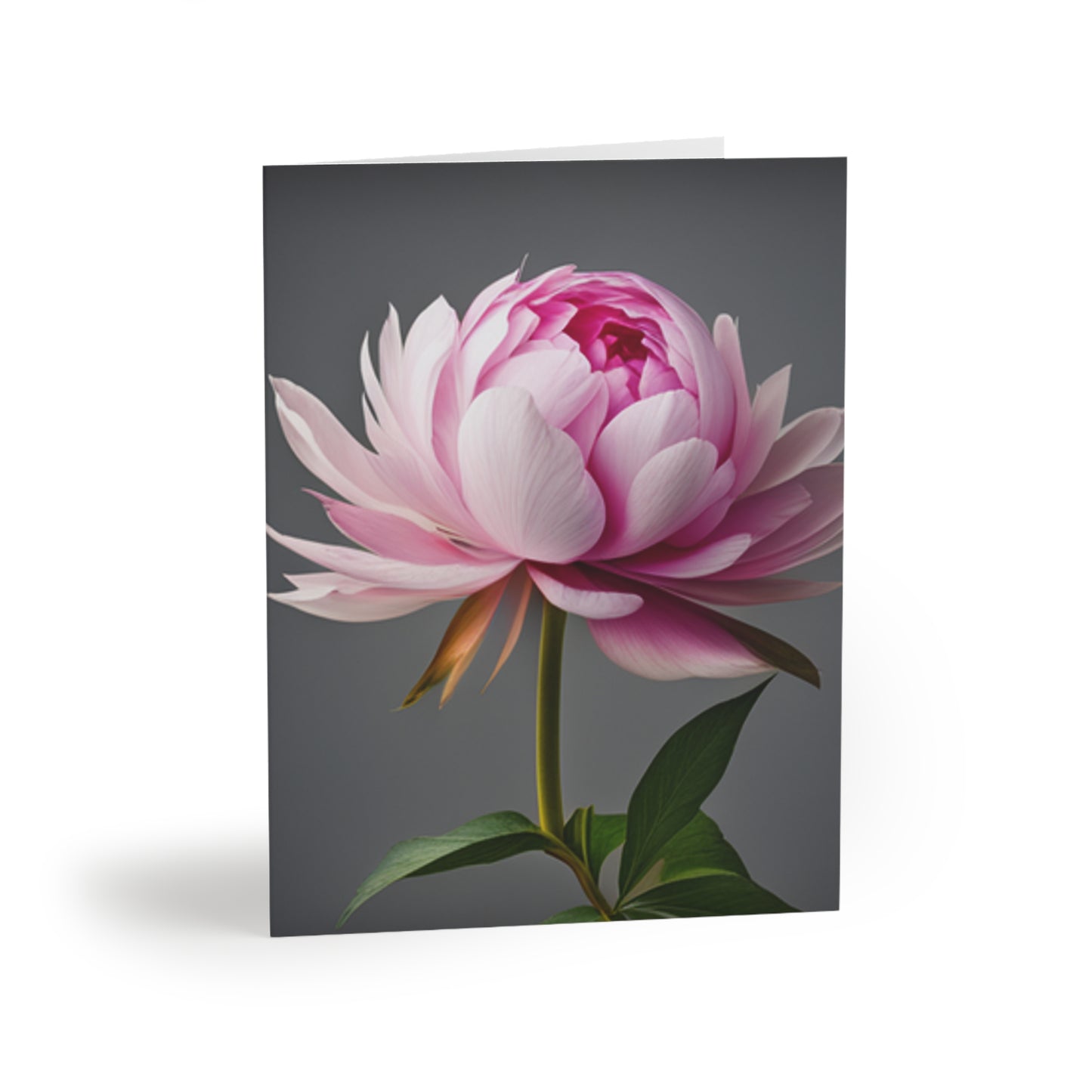 Pink Peony Greeting cards