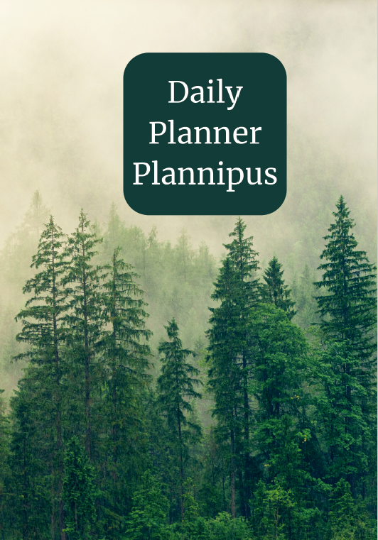 Daily Planner for Busy Brains